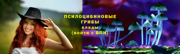 таблы Алзамай