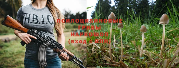 таблы Алзамай